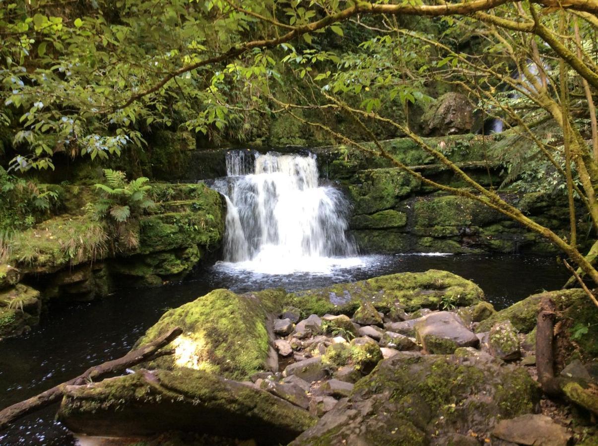 Catlins Retreat B & B โอวากะ ภายนอก รูปภาพ